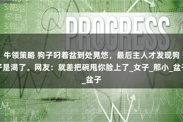 牛领策略 狗子叼着盆到处晃悠，最后主人才发现狗子是渴了。网友：就差把碗甩你脸上了_女子_那小_盆子