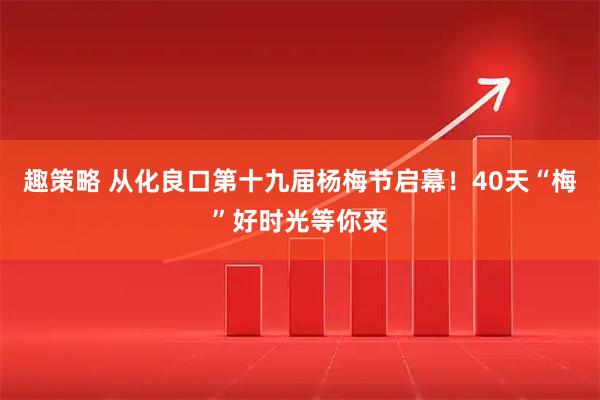 趣策略 从化良口第十九届杨梅节启幕！40天“梅”好时光等你来