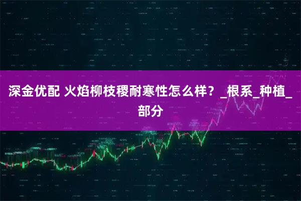 深金优配 火焰柳枝稷耐寒性怎么样？_根系_种植_部分