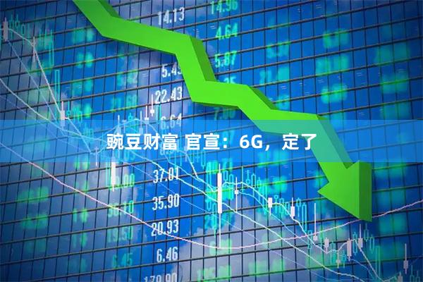 豌豆财富 官宣：6G，定了