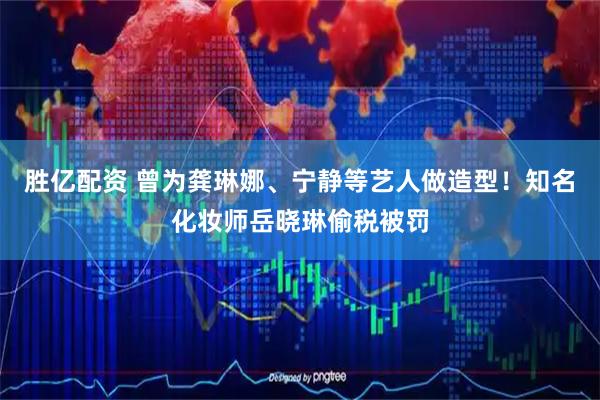 胜亿配资 曾为龚琳娜、宁静等艺人做造型！知名化妆师岳晓琳偷税被罚